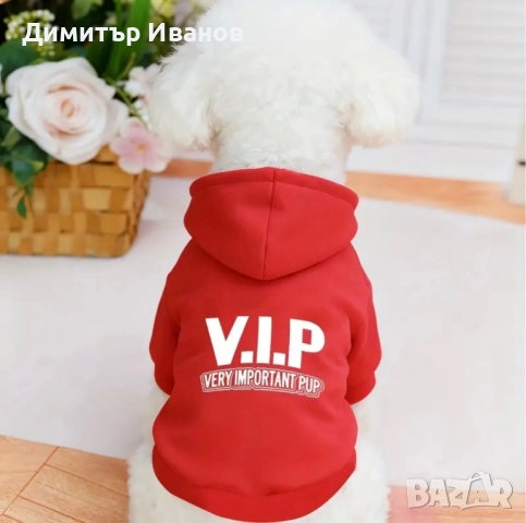 Модерни дрехи за кучета: Суичъри (Худита) с надписи, Пуловер (S, M) →
		Обява 52574699