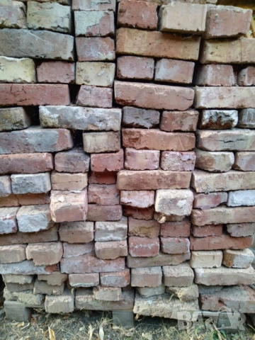 Здрава изчистена ТУХЛА единичка плътна по 20 ст. за брой
                
                с. Поликраище, Велико Търново
                днес
                                    0,20 лв 
                    0,10 € Здрава изчистена ТУХЛА единичка плътна по 20 ст. за брой
                
                с. Поликраище, Велико Търново
                днес
                                    0,20 лв 
                    0,10 €