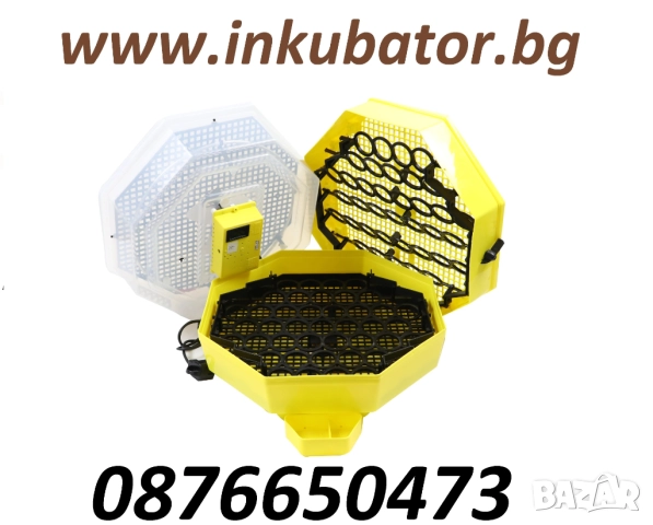 Румънски инкубатори "Cleo 5" за люпене на пилета
                
                гр. Русе, Център
                днес
                                    105 лв 
                    53,69 € Румънски инкубатори "Cleo 5" за люпене на пилета
                
                гр. Русе, Център
                днес
                                    105 лв 
                    53,69 €