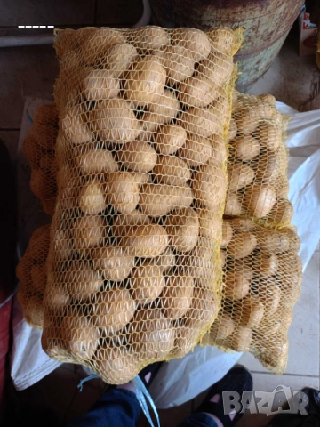 Продавам картофи 
                
                с. Гълъбник, Перник
                днес
                                    Договаряне Продавам картофи 
                
                с. Гълъбник, Перник
                днес
                                    Договаряне