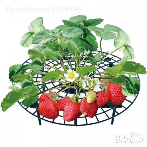 3700 Стойка за ягоди