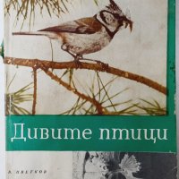 Дивите птици. В. Цветков, Г. Арабаджиев, И. Арабаджиев, снимка 1 - Специализирана литература - 43352947