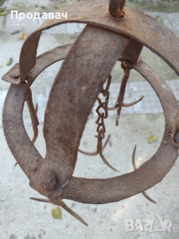 Ченгел (котка)  →
		Обява 52296414