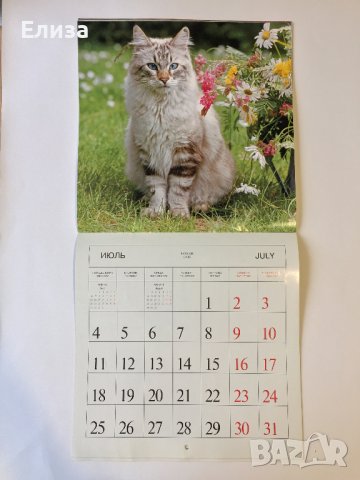 Стенен календар 2011 Котки, снимка 11 - Други - 38776717