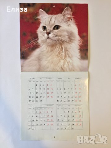 Стенен календар 2011 Котки, снимка 4 - Други - 38776717