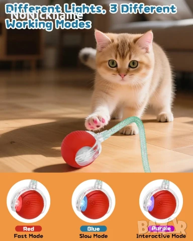 Интерактивна играчка за котки автоматично търкаляща се топка с опашка презареждаща, домашни любимци →
		Обява 51339918