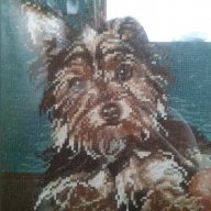 Продавам гоблен "Куче Йоркширски териер"., снимка 1 - Гоблени - 10754460