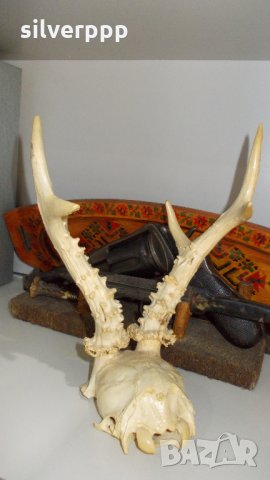  сръндаково трофейче  - 7, снимка 3 - Други ценни предмети - 25130736