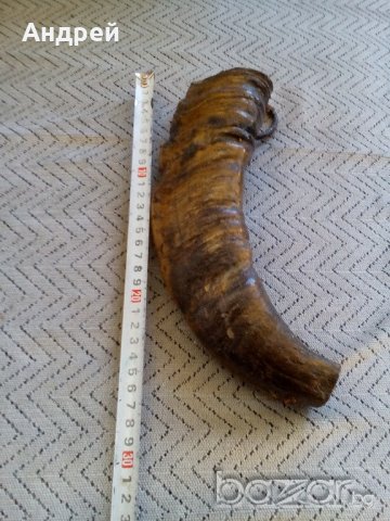 Рог барутница, снимка 4 - Антикварни и старинни предмети - 20468635