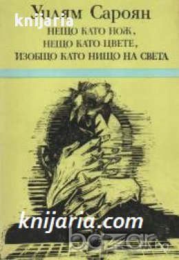 Нещо като нож, нещо като цвете изобщо като нищо на света 