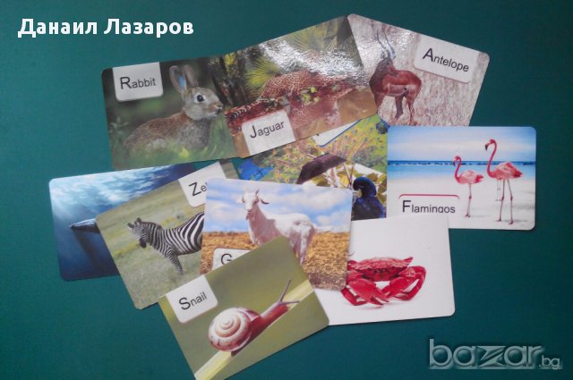 Логопедични, обучаващи, активни и флаш карти. Автоматизация на звук. Дактилологична азбука., снимка 8 - Игри и пъзели - 12472289