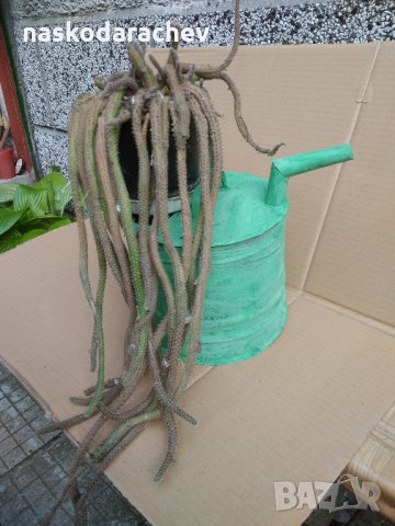 Ретро лейка за декорация в градината, снимка 2 - Градински мебели, декорация  - 25286053