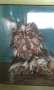Продавам гоблен "Куче Йоркширски териер"., снимка 1 - Гоблени - 10754460