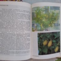 Албум за Растения и Животни - София 1976, снимка 5 - Художествена литература - 17111137