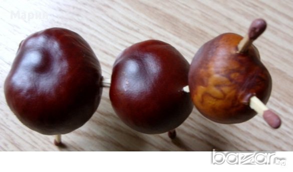 Кестени за декорация или за приготвяне на лекарство, снимка 3 - Декорация за дома - 11693322