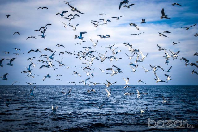 Почивка в Керамоти,Гърция, снимка 9 - Почивки в Гърция - 10777755