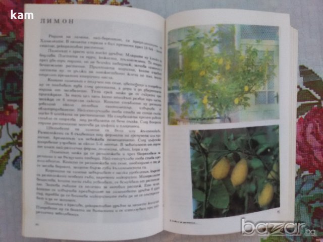 Албум за Растения и Животни - София 1976, снимка 5 - Художествена литература - 17111137