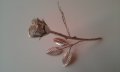 Сребърна розичка, снимка 2
