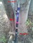 Различни Пръчки 1.80м до 4.50 -шарански Спининг, снимка 8