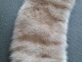 Яка от норка, снимка 2