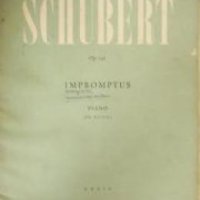 Franz Schubert op.142 Impromptus piano , снимка 1 - Други - 21862389