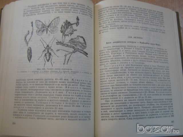 Книга "Ентомология-М.Дириманов/П.Начев" - 476 стр., снимка 2 - Специализирана литература - 7813951