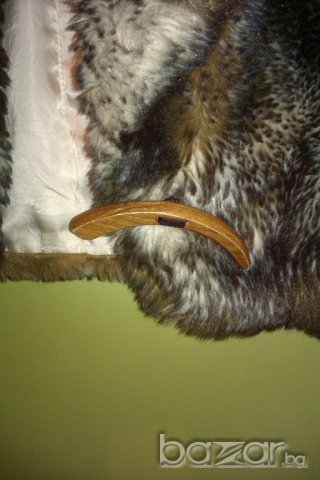 Miss Sixty оригинален дамски елек и чанта, снимка 5 - Палта, манта - 7762066