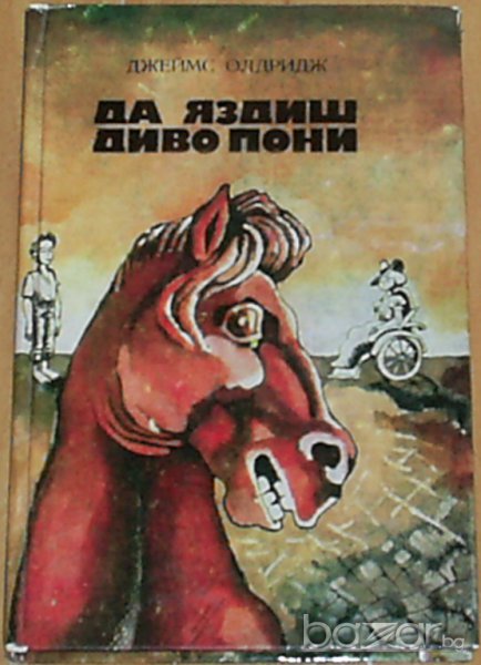 Джеймс Олдридж, снимка 1