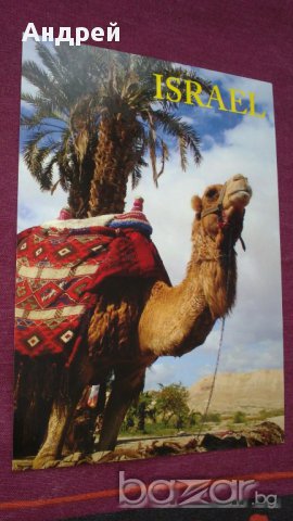 8 картички от Турция и Израел, снимка 12 - Филателия - 12496941