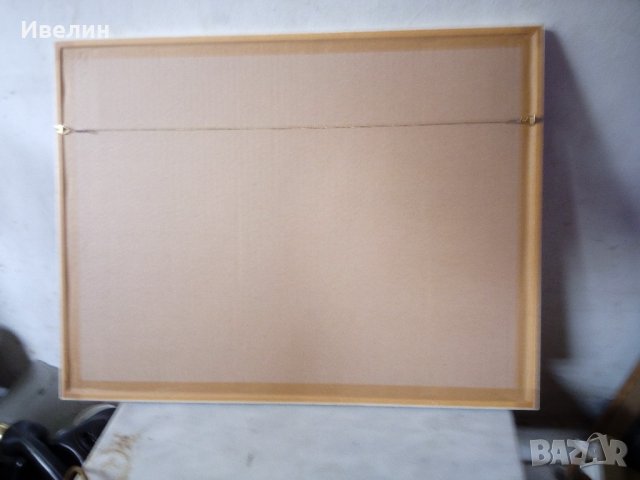 картина-перо , снимка 3 - Картини - 21821425