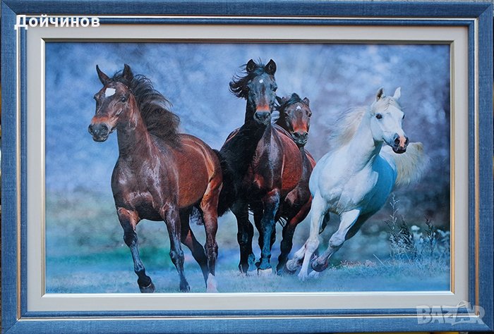 Четворка арабски коне, картина с рамка, снимка 1