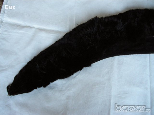 СТАРА ЯКА ОТ ЛИСИЦА, снимка 4 - Други - 16752895