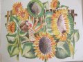  А. Платнер-"Моята градина"-детска книжка, снимка 7