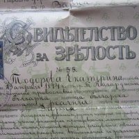 Стар документ Свидетелство за зрялост 1914, снимка 5 - Колекции - 25437651