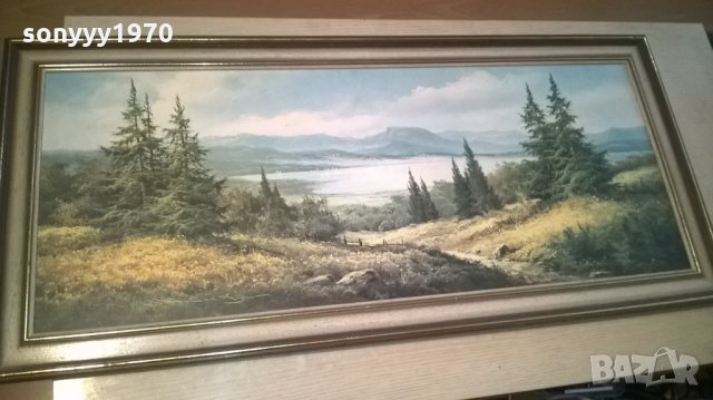 картина с рамка-внос швеицария-111х51см