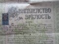 Стар документ Свидетелство за зрялост 1914, снимка 5