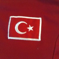 Турция фланелка Адидас  №9 Хакан Шукур 2002-04 домакини, снимка 3 - Футбол - 19272617