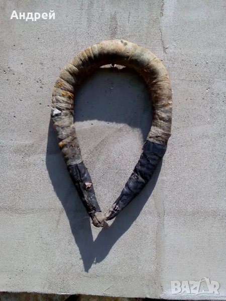 Хамут,оглавник, снимка 1