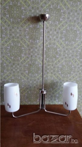 Полилей четри вида, снимка 7 - Полилеи - 15804371