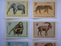 български пощенски марки - зоологическа градина - София 1966, снимка 2