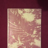 Викторина за гората , снимка 15 - Художествена литература - 9833762