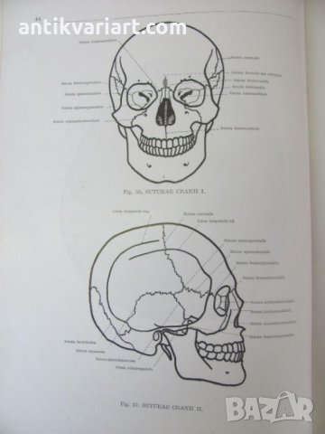 1971г. Медицинска Книга Анатомичен Атлас Том1-ви, снимка 9 - Други - 25936774