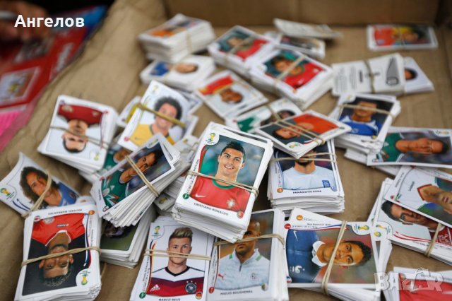 Стикери PANINI - 2006 FIFA World Cup , снимка 4 - Градински цветя и растения - 21941486