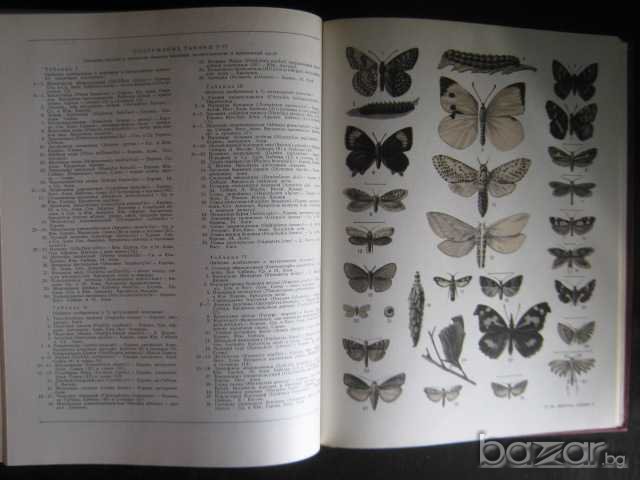 Книга "Большая советская энциклопедия-том 2" - 632 стр., снимка 4 - Енциклопедии, справочници - 7815571