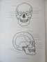 1971г. Медицинска Книга Анатомичен Атлас Том1-ви, снимка 9