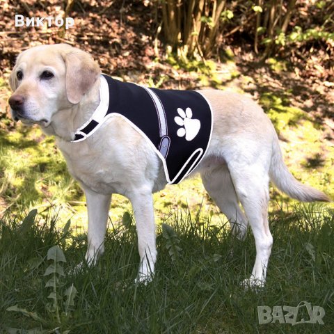 Светеща неопренова жилетка за кучета размер М от Trixie, снимка 2 - За кучета - 23470278