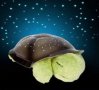 Плюшена музикална костенурка нощна лампа проектираща звездно небе, снимка 6