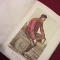 Сборникъ за народни умотворения, наука и книжнина , книга VІ - 1891 г, снимка 3 - Художествена литература - 11086726
