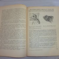  Физиология на селскостопанските животни, снимка 5 - Специализирана литература - 19377023