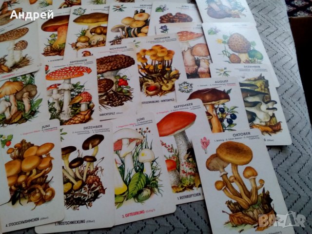 Стари Гъбарски карти, снимка 7 - Антикварни и старинни предмети - 25566360